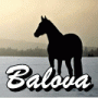 Balova