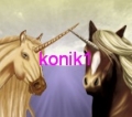 konik1