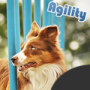 agility