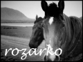 rozarko