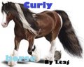 Curlyhorse